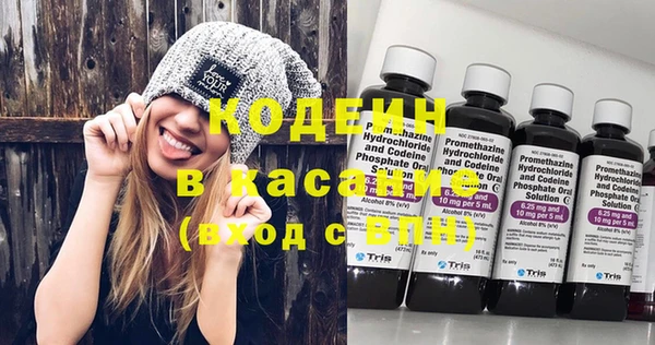 шишки Беломорск