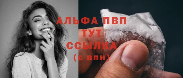 шишки Беломорск