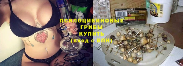 скорость mdpv Белокуриха