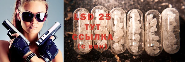 шишки Беломорск
